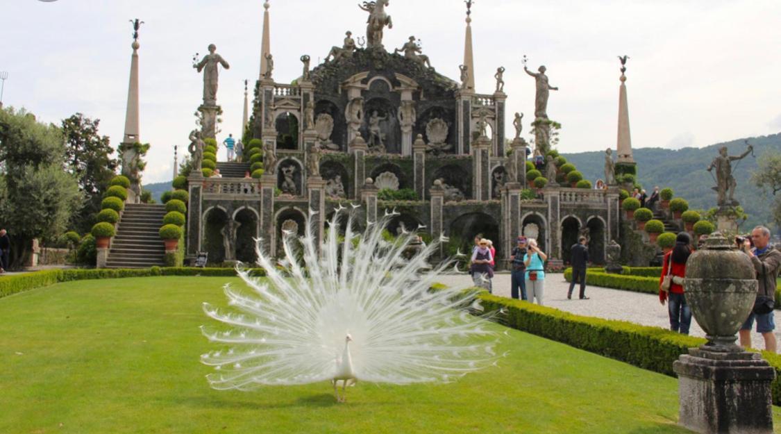 Antico Palazzo Lago Maggiore Вербания Экстерьер фото