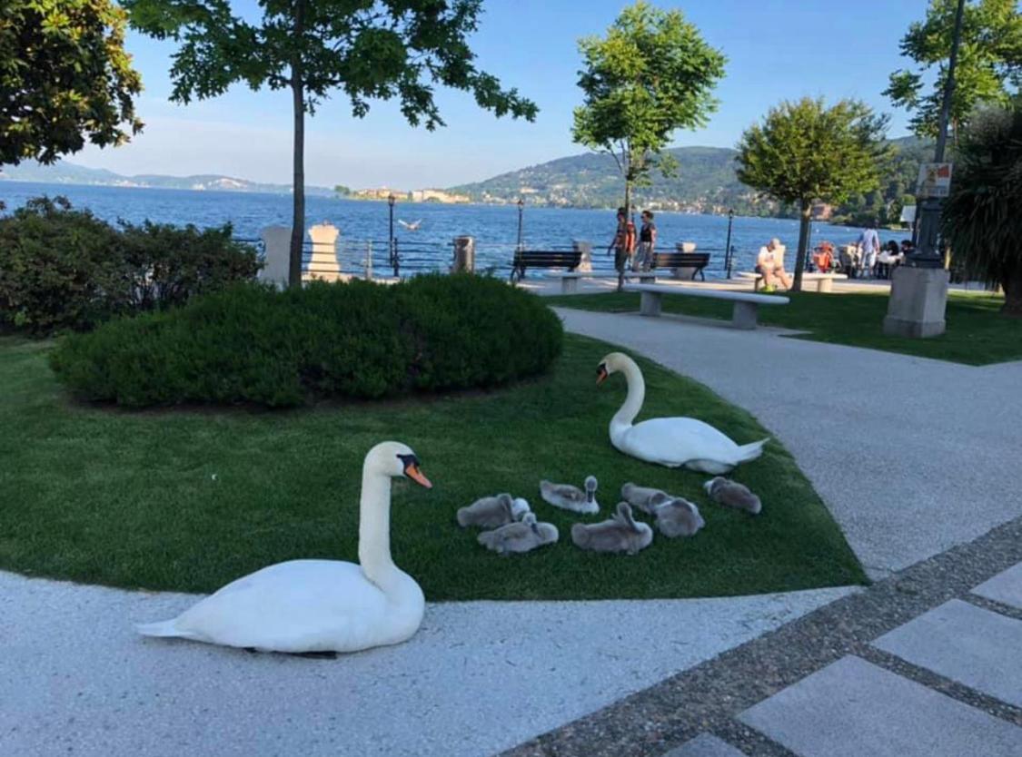 Antico Palazzo Lago Maggiore Вербания Экстерьер фото